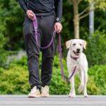 Dog Copenhagen Urban Classic™ Hundesnor